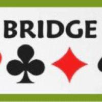 Bridgedrive