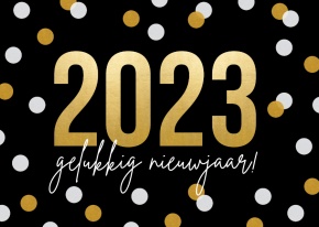 Nieuwjaarsreceptie zondag 8 januari